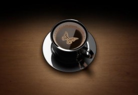 咖啡師 / 咖啡藝術